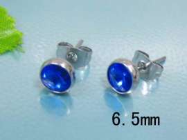 Stainless Steel Earring