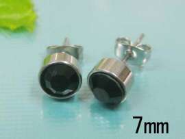 Stainless Steel Earring