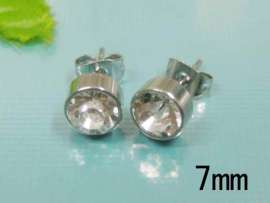 Stainless Steel Earring