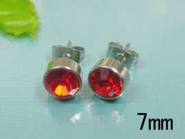 Stainless Steel Earring