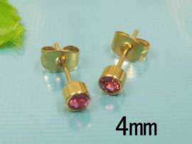Stainless Steel Gold-Plating Earring