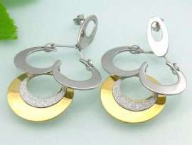 SS Gold-Plating Earring