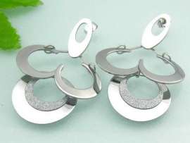Stainless Steel Earring