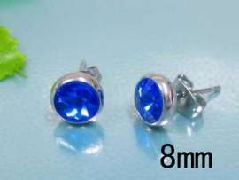Stainless Steel Earring