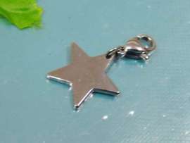 Stainless Steel Charms with Lobster