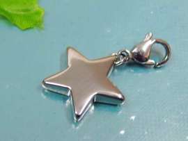 Stainless Steel Charms with Lobster